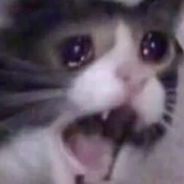 The original Screaming Cat meme