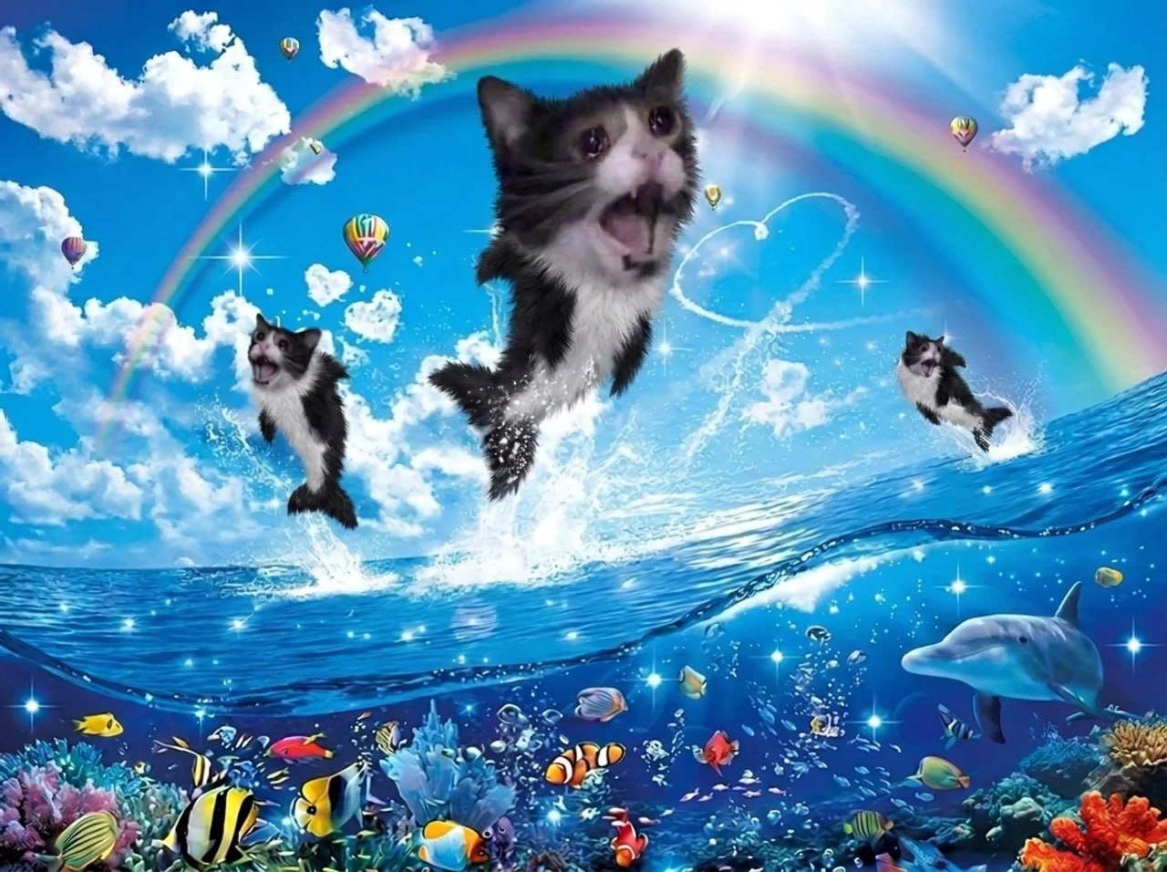 Screaming Cat community meme 11