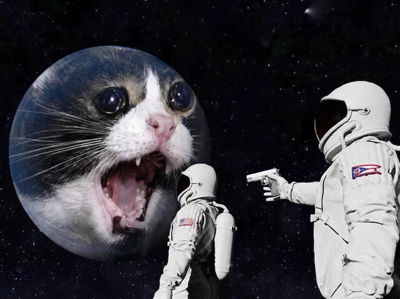 Screaming Cat community meme 21