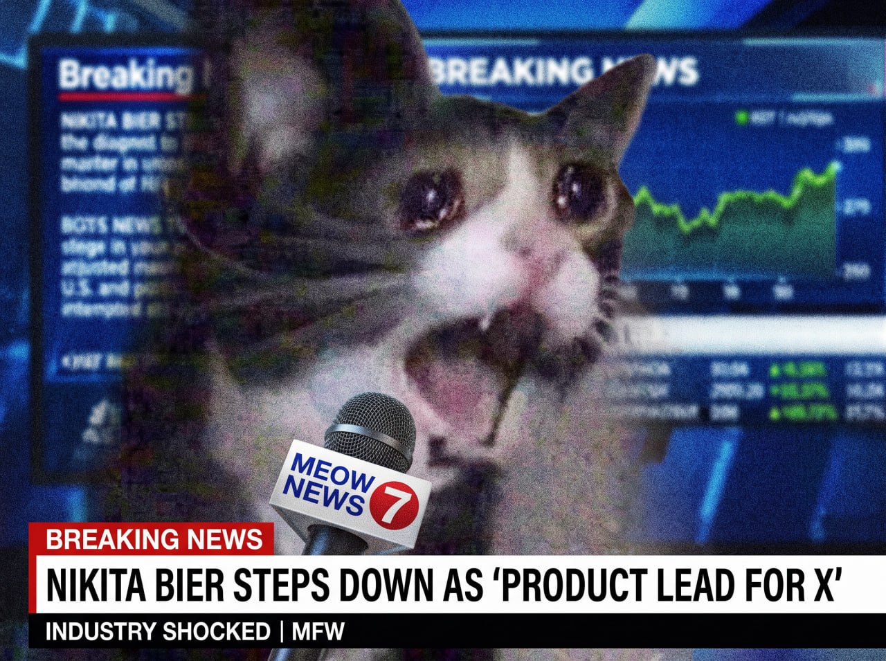 Screaming Cat community meme 2