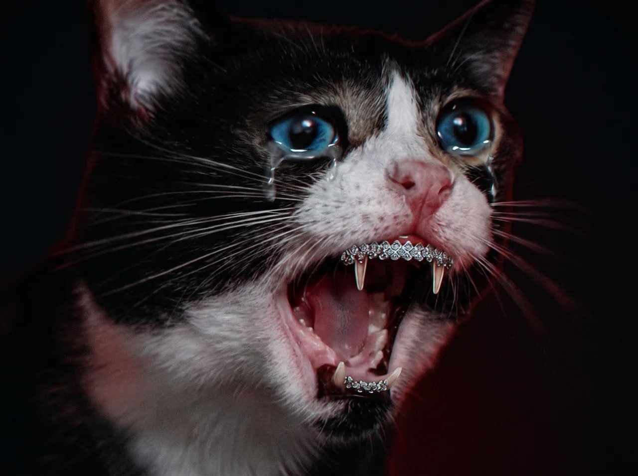 Screaming Cat community meme 31