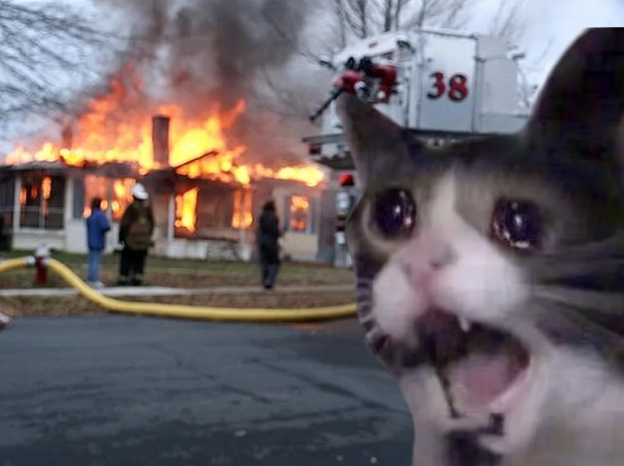 Screaming Cat community meme 6