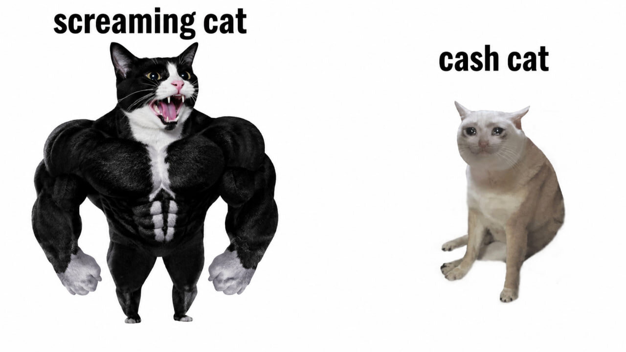 Screaming Cat vs Cash Cat power comparison meme